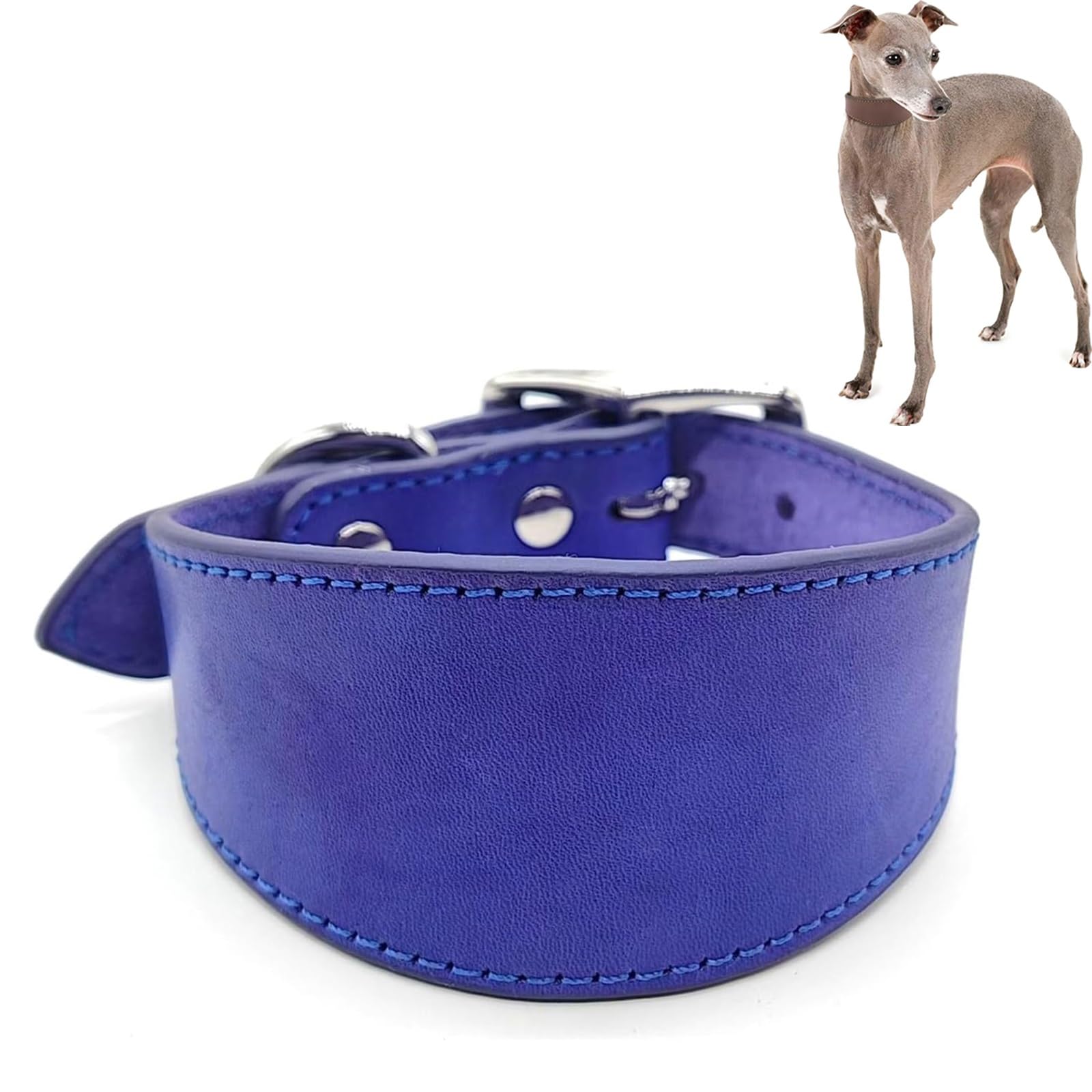 Wide Padded Leather Dog Collar for Italian Greyhound & Whippet, Adjustable Soft Pet Collar with Heavy Duty D-Ring for Daily Walking & Outdoor Use(Purple,L)