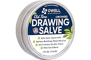 Chickweed Salve: A Natural Solution for Boils, Skin Irritations, and Minor Injuries