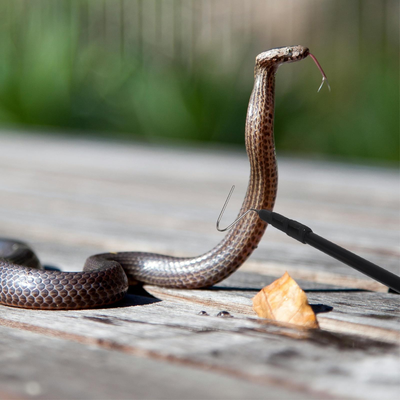 BESTYASH Pinze Uncino per Serpenti Manico Telescopico in Lega di Alluminio, Impugnatura Antiscivolo per Cattura Sicura di Serpenti e Rettili Durante Campeggio All'aperto