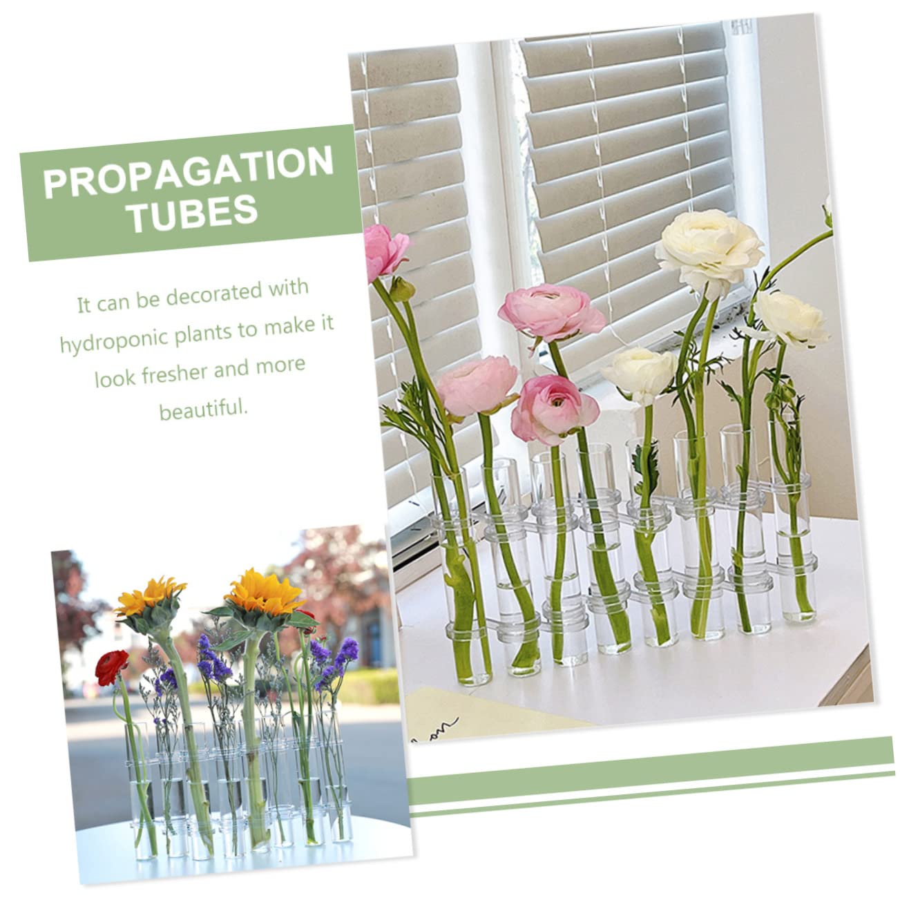 Vase en Verre Transparent 1 Set pour Tubes de Propagation de Plantes