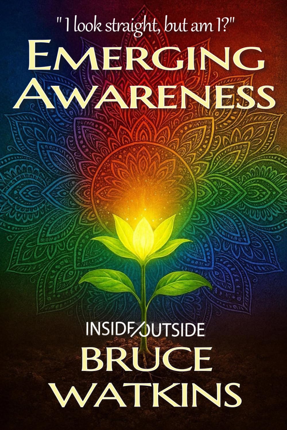 Emerging Awareness (Inside/Outside)