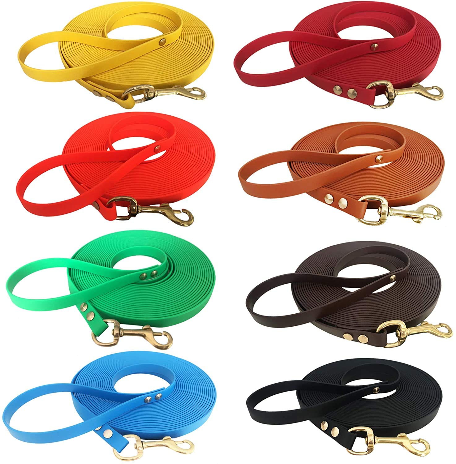 Laisse bio très légère en Biothane - 9 mm de large - 2 à 15 m - Laisse avec dragonne pour petits et grands chats - En Biothane - Plus de 20 couleurs