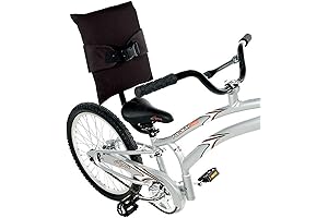 Kids Tag Along Bike Back Rest