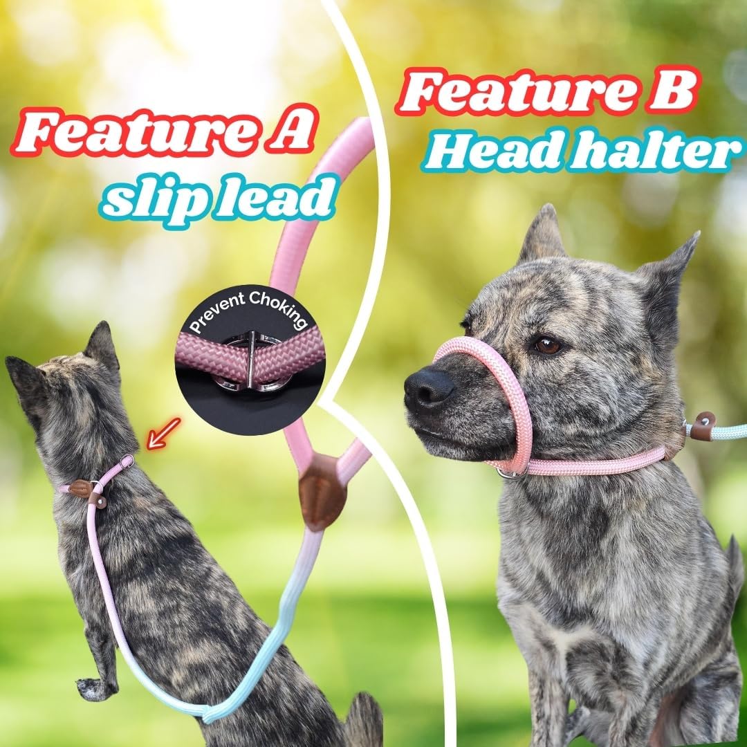 Slip Leads for Dogs 5 FT Pastel Rope Leash, Soft Slip Lead Dog Leash with Adjustable Stopper, Gradient No-Pull Training for Small Medium Large Breeds Pink and Blue
