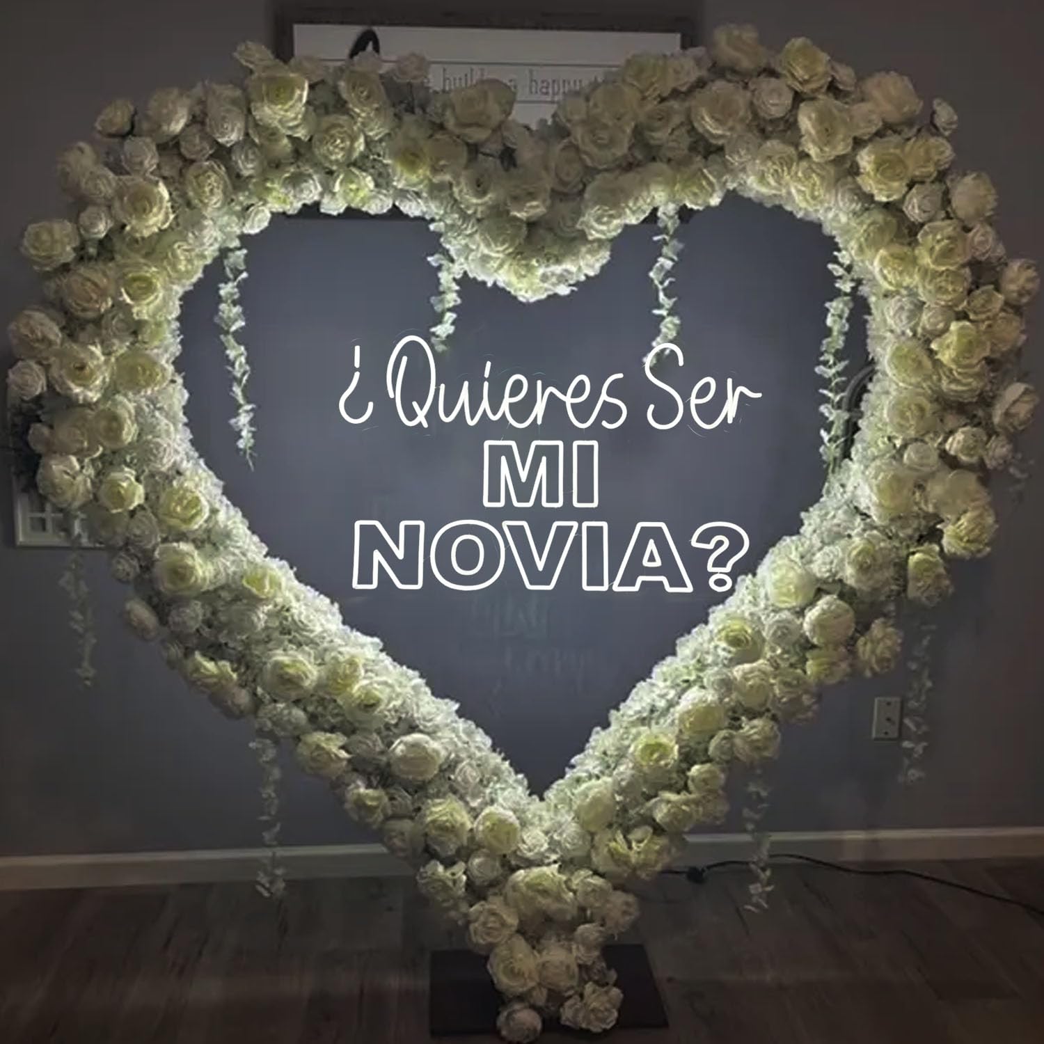 Photo 1 of XIMAQIS "Quieras Ser Mi Novia" Neon Sign