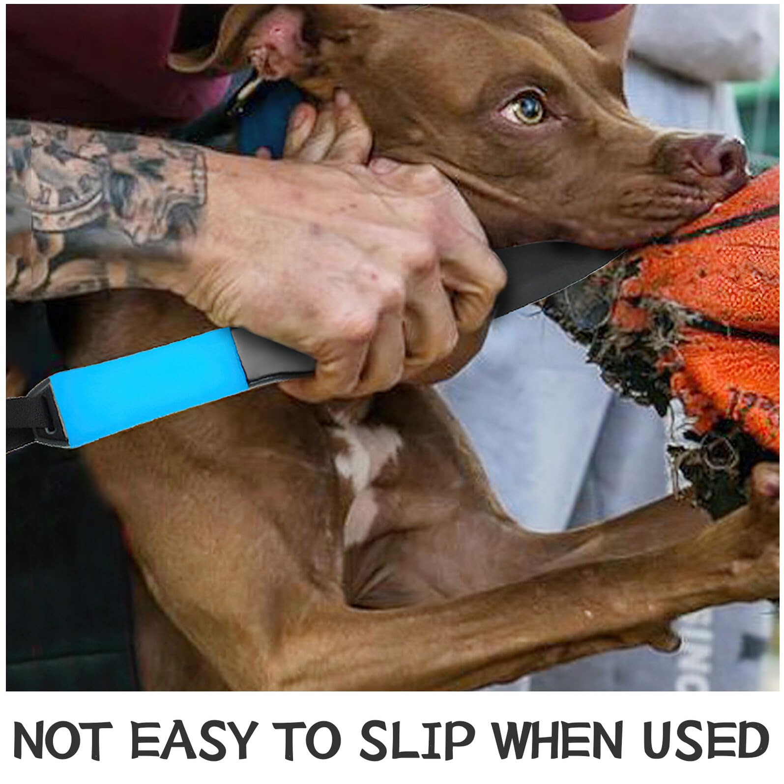 Varilla De Entrenamiento para Perros Grandes Antimordeduras, Herramienta Canina Resistente y Ligera, Tamaño Compacto para Entrenamiento Seguro Adiestramiento De Perros Grandes De Raza Fuerte
