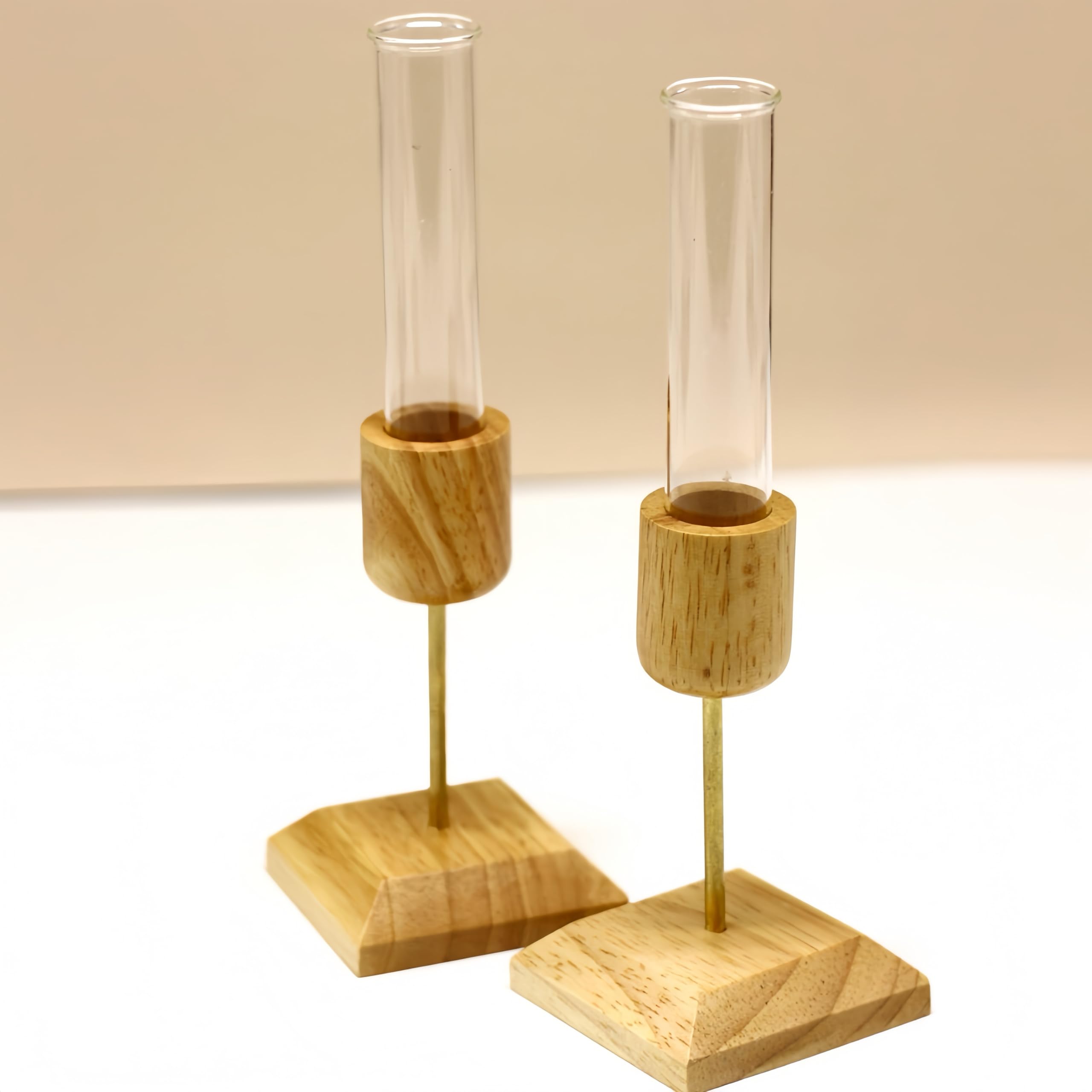 2 Stück Pflanzen-Anzuchtstation, Desktop-Reagenzglas-Vase, geeignet für Hydrokulturpflanzen, Gartengeschenke für Frauen, Geburtstagsgeschenke für Pflanzenliebhaber