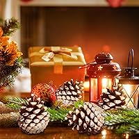 Vista 5 de 24 piñas de pino natural de Navidad, piñas rústicas con cuerda para manualidades y decoración de invierno Xmax Holidays jarrón y relleno de tazón