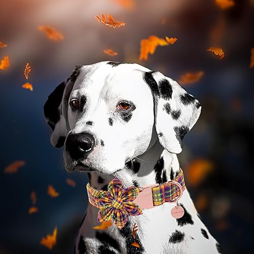 Miniatura 5 de Collar de perro de Halloween con flor, collar de perro a cuadros de Halloween para hembras pequeñas, collar de perro de otoño e invierno con hebilla