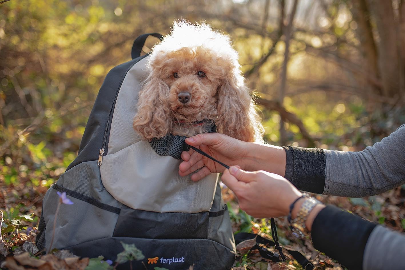 Ferplast Zaino per Cani KANGOO, Trasportino Gatto, Zaino per Gatti, Ampia Apertura, Cinghia di sicurezza, Cinghe Regolabili, Max 8 Kg, 41,5 x 20 x 43H cm, Grigio