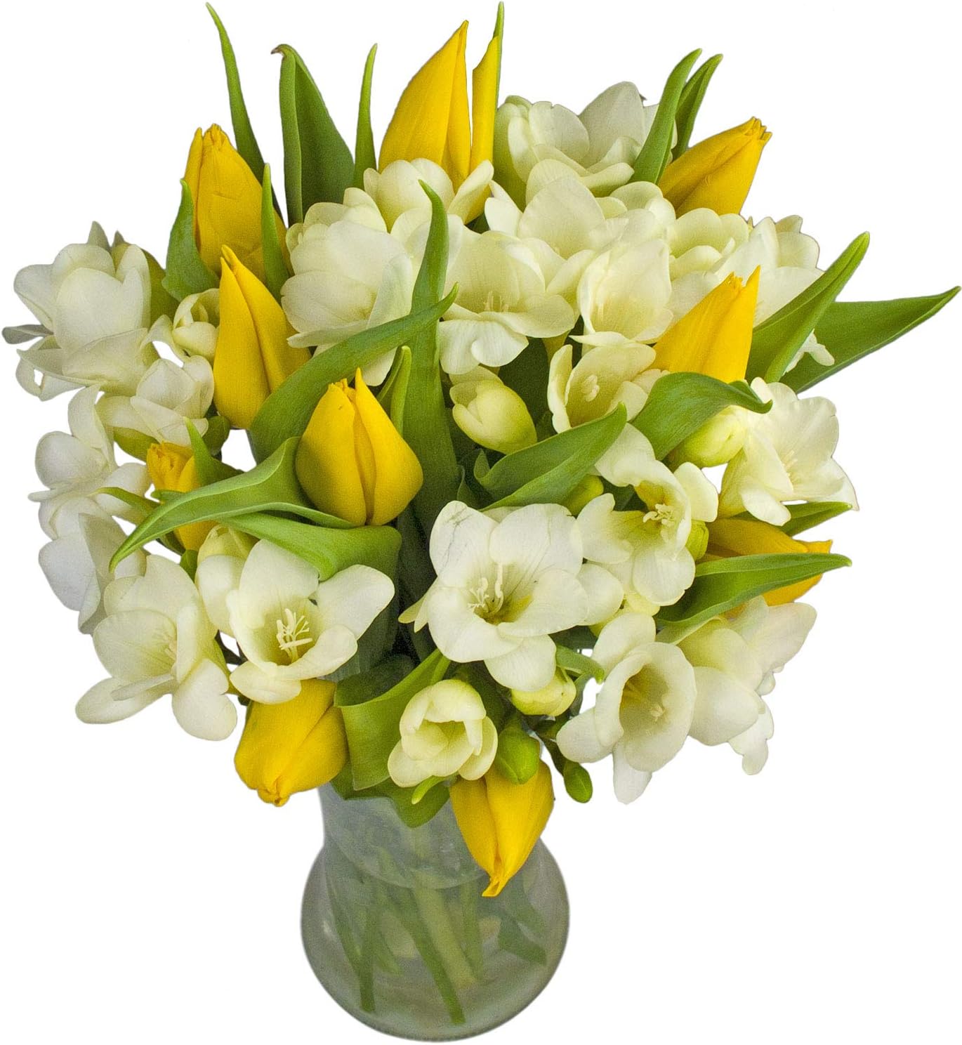 Mellow Yellow Bouquet - A Luscious Hand Tied Bouquet of Yellow Tulips and Fragrant White Freesias