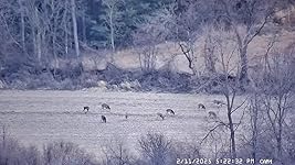 Review Image by TJG TJG