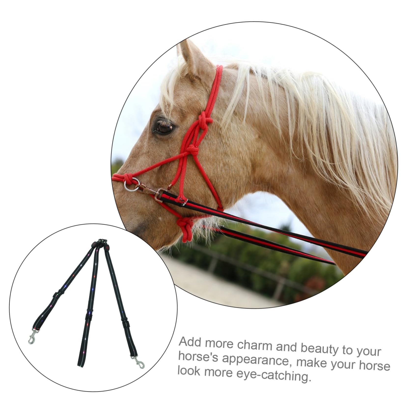 Correa Luminosa LED para Caballo, Pechera de Adiestramiento Negra | Pu y Nylon, Carcasa Abs Smd y Aleación de Aluminio, Ligera y Fiable, para Afición Ecuestre Estilo Aleatorio