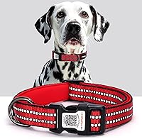 ilfindyou Reflective Dog Collar with QR Code Tag - Personalized Anti-Loss, Night Safety Visibility (Red, Medium)