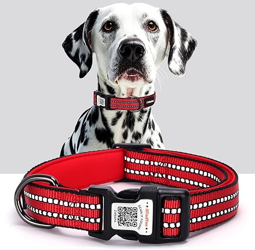 Miniatura 1 de Collar reflectante para perro con etiqueta de código QR, collar de perro personalizado, visibilidad nocturna de seguridad, función antipérdida