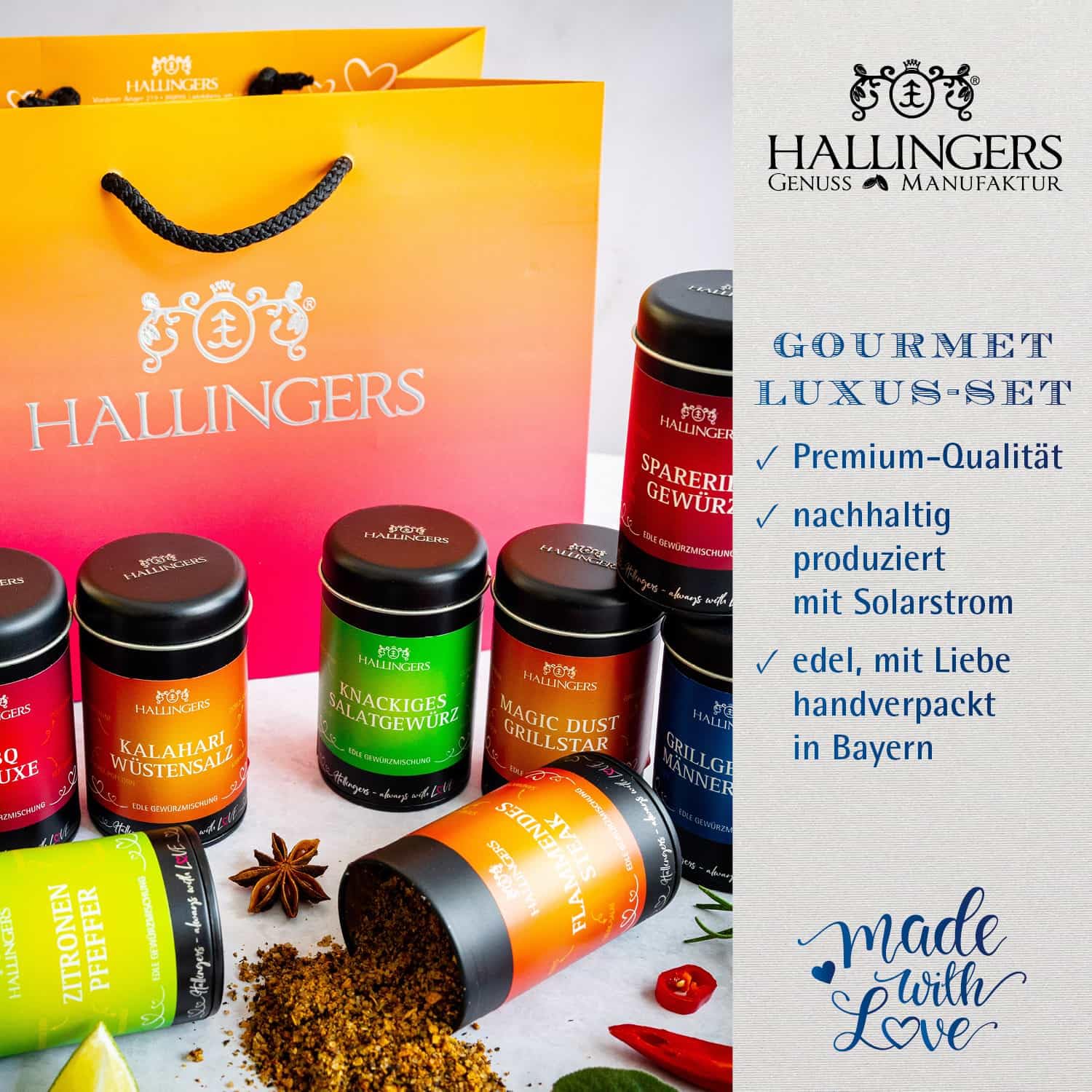 Hallingers Genuss Manufaktur Gewürz Geschenk-Set - Selektion unserer Besteller als Probierset in edlen Aromadosen & Tragetasche "Best of BBQ", Geschenkidee für Frauen Männer