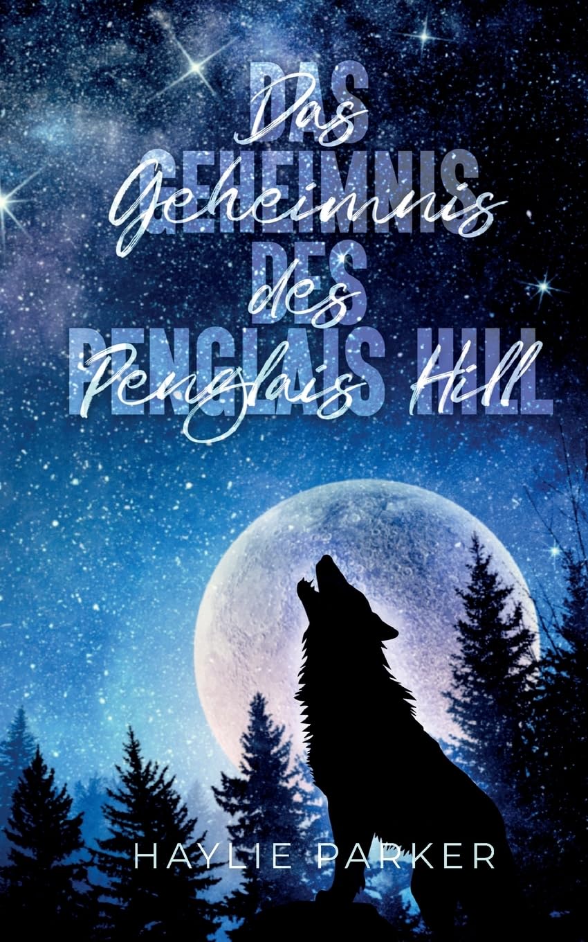 Das Geheimnis des Penglais Hill