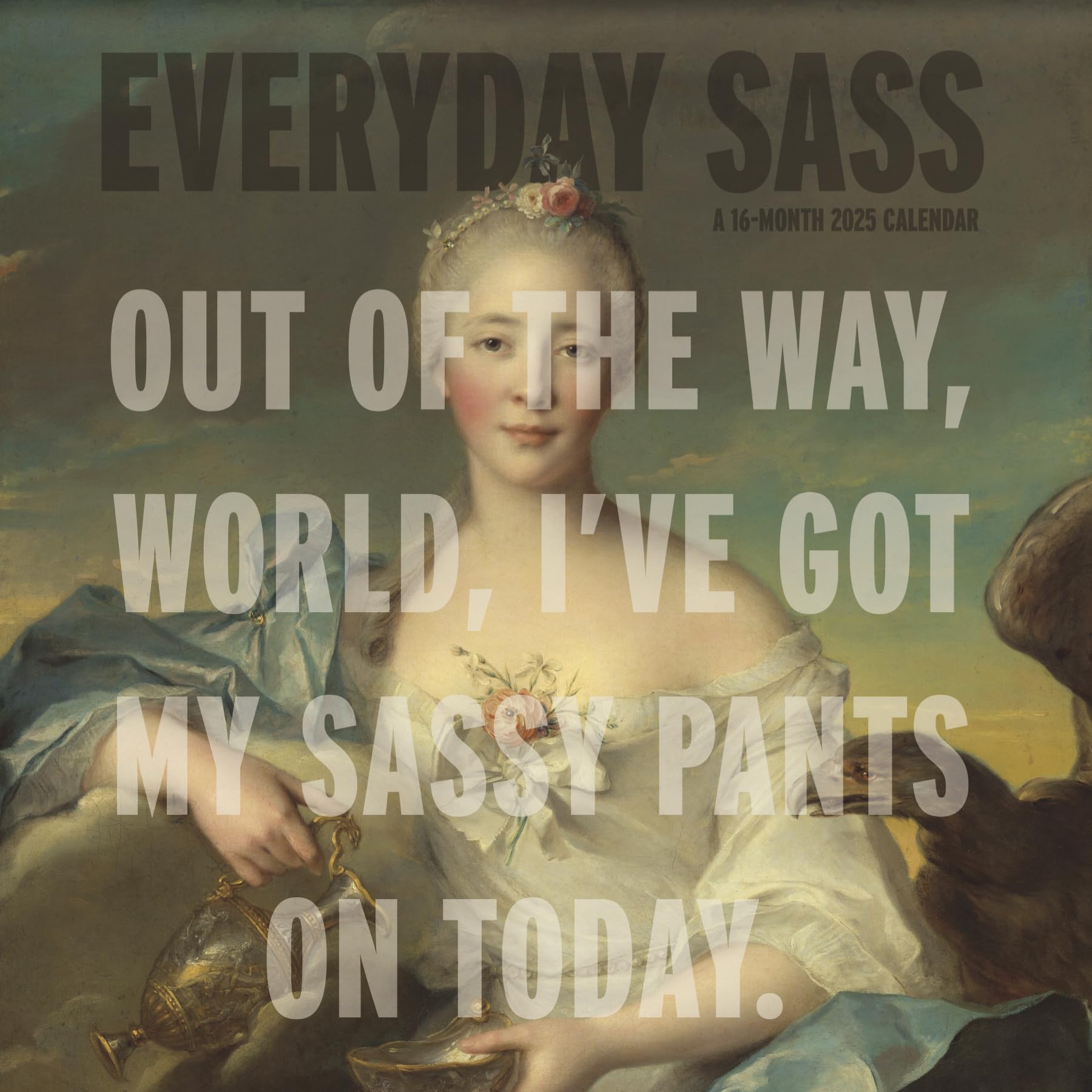 Trends International 2025 Everyday Sass Wall Calendar