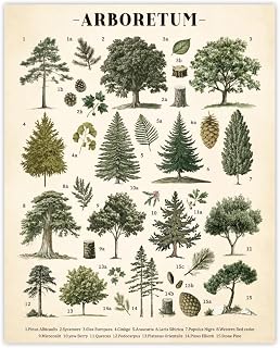 GOMAKERER 1 Pc Vintage Tree Poster Wall Decor, Botanical Wall Art Print Retro Rustic Canvas Painting for Living Room Bedroom Home Decorations 11x13.8 Inches Unframed