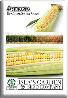 Ambrosia Bi-Color Sweet Corn Seeds (Zea mays) – 50+ Non-GMO Seeds by Isla’s Garden Seeds, Yellow & White Sweetcorn Variety for Backyard Garden Rows and Summer Harvests, Delicious Home Garden Gift Idea