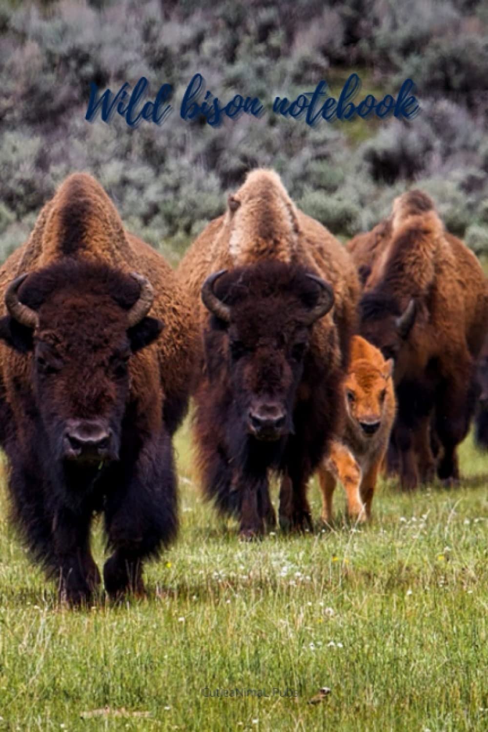 Wild bison notebook