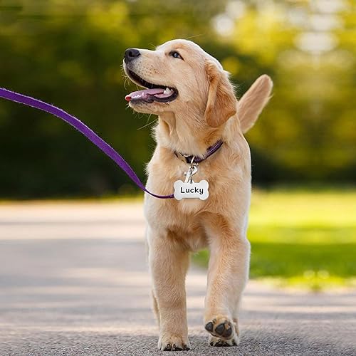 Miniatura 5 de Etiquetas para perro grabadas para mascotas, de acero inoxidable de alta gama, grabadas con láser, resistentes a los arañazos, con cualquier nombre,