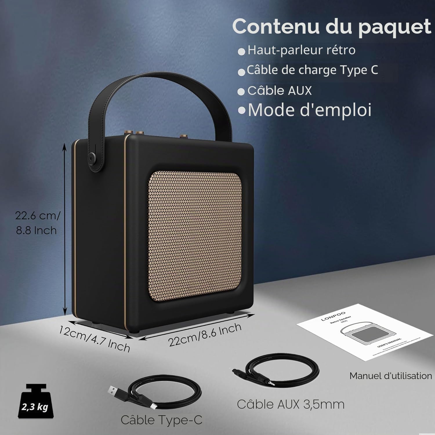 LONPOO Enceinte Bluetooth rétro Aspect Cuir avec Batterie, 20 W, Lecteur USB, entrée auxiliaire, Prise Microphone 6,5 mm, Charge de Type C, Micro Chaîne HiFi stéréo