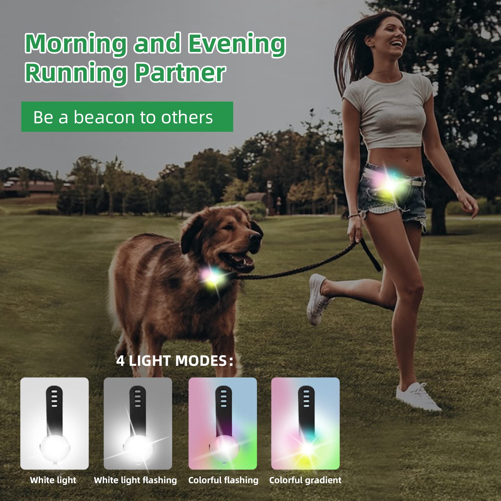 2 Lampes LED Clignotantes Rechargeables USB-C - Pour Chien, Sac à Dos, Course - 4 Modes, Sécurité Nocturne - 10