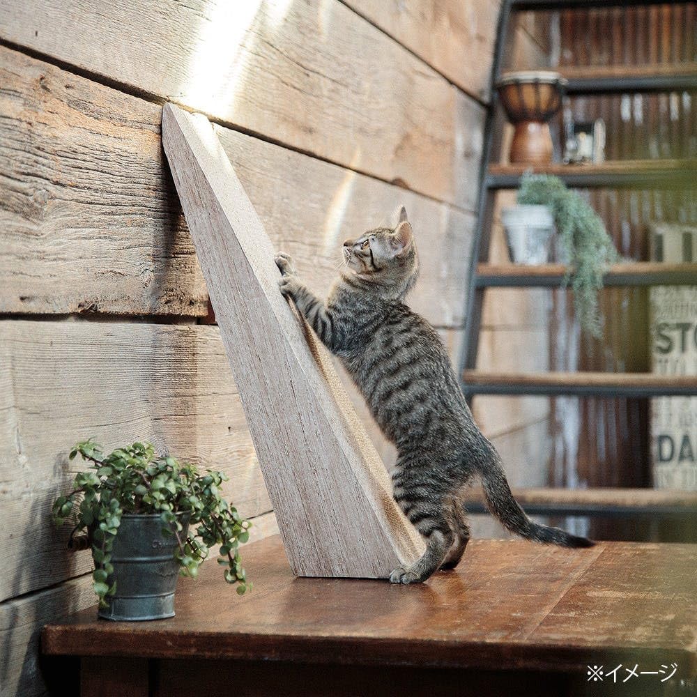 Amazon.co.jp: カインズ(CAINZ) フリースタイル スクラッチャー 幅15cm