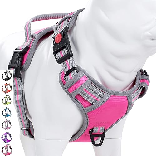 Coohom - Arnés para perro sin tirones con asa y dos accesorios de correa, arnés ajustable para mascotas al aire libre con material Oxford reflejante