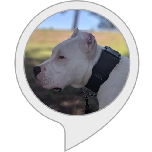 Dogo Argentino Facts