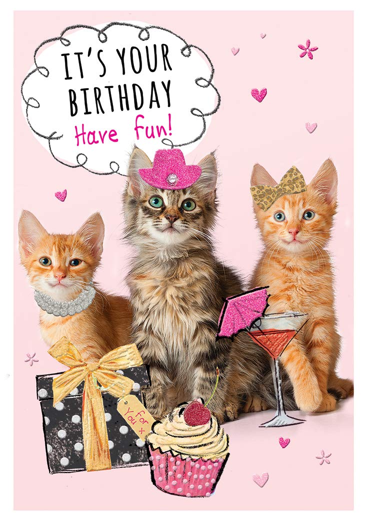 Piccadilly Greetings Three Cats Birthday Card with Cupcake and Cocktail - 7 x 5 Inches