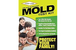 DIY Mold Test Kit | Comprehensive Mold Detection, Expert Consultation Included