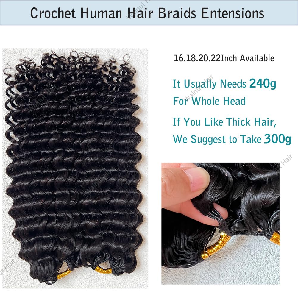 Water Wave Pre Separated Human Hair Extensions For Braids Burmese Virgin Crochet Hair Bundles Knotless Boho Braiding Hair Pre Looped Feather Hair For Black Women Walnut Hair 18inch 120g