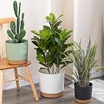 ZMTECH Plant Pots, 6.5'' Self Watering Plastic Planter with Drainage Hole and Saucer, Modern Decorative Flower Pot for Indoor Outdoor House Plants, Succulents, Flowers - Dark Gray, 2 Pack