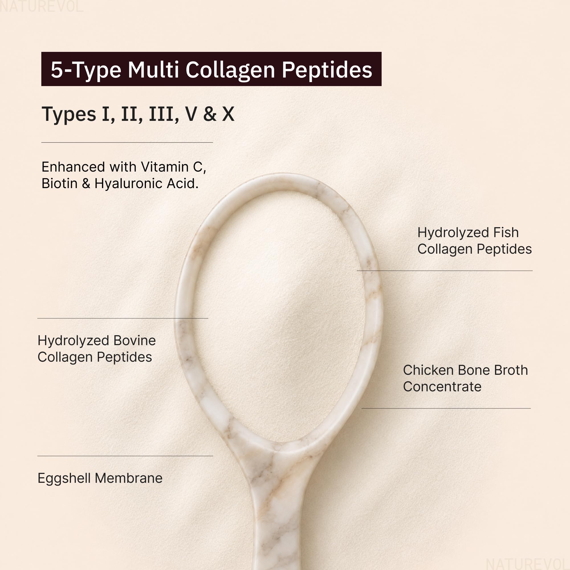Multi Collagen Peptides Powder, 1 lb (41 Servings), Unflavored — Amazon image 2