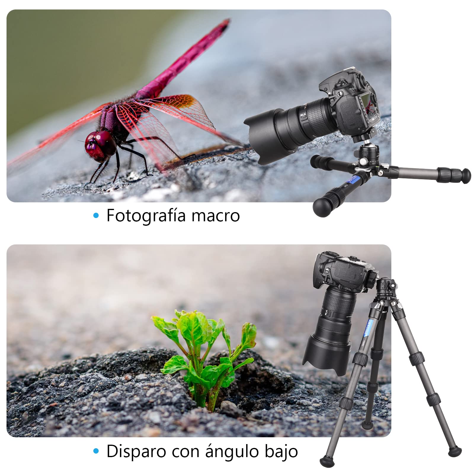 Mini trípode de Fibra de Carbono ARTCISE, trípode de sobremesa Compacto y portátil, trípode pequeño y Ligero para cámaras, DLSR, Capacidad de Carga máxima 22lbs/10kg