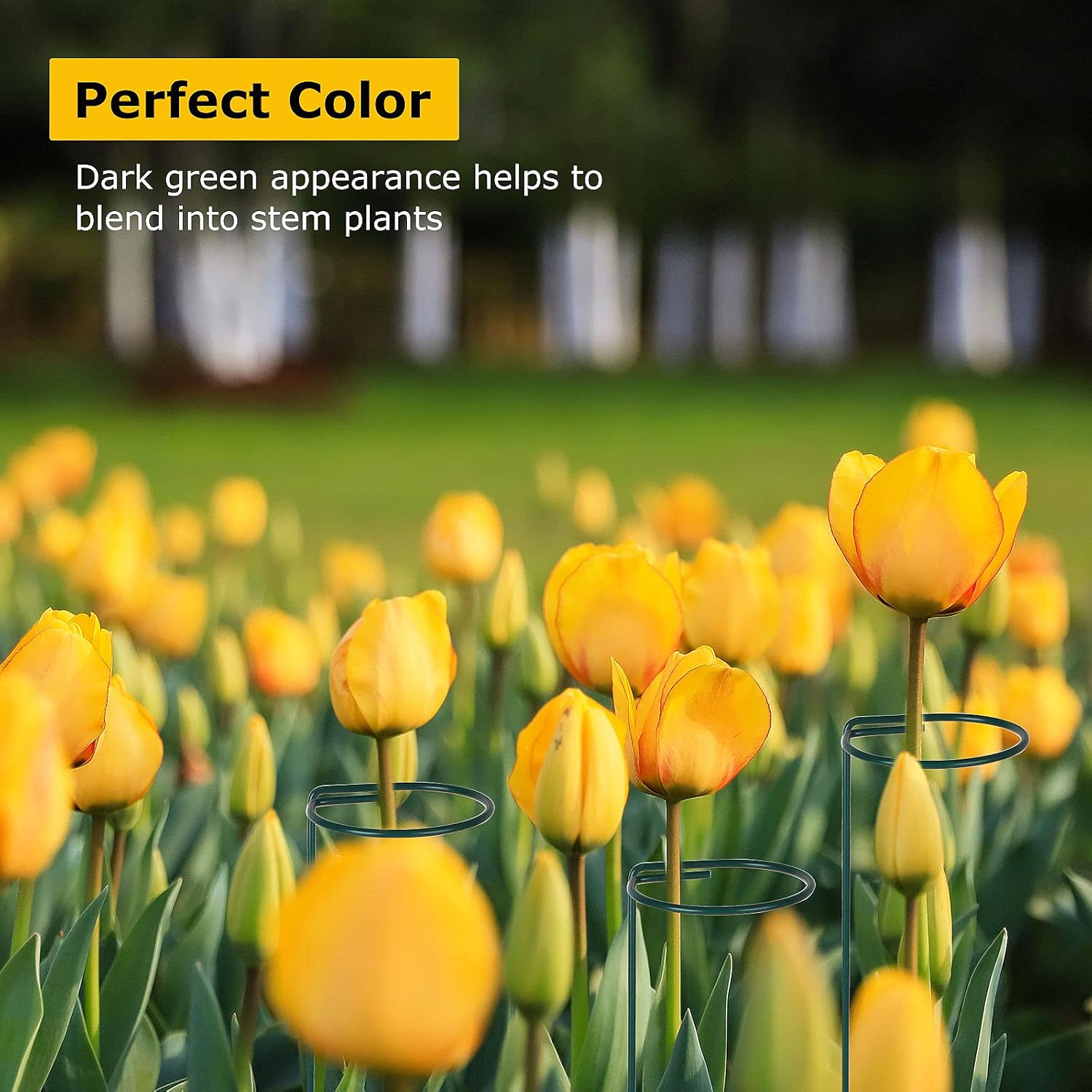 PETTYOLL 20PCS Single Stem Plant Stakes, 15.8 Inch Plant Support Garden Stakes, Flower Support Stakes for Amaryllis Orchid Lily Rose Tomatoes Peony, Dark Green : Patio, Lawn & Garden