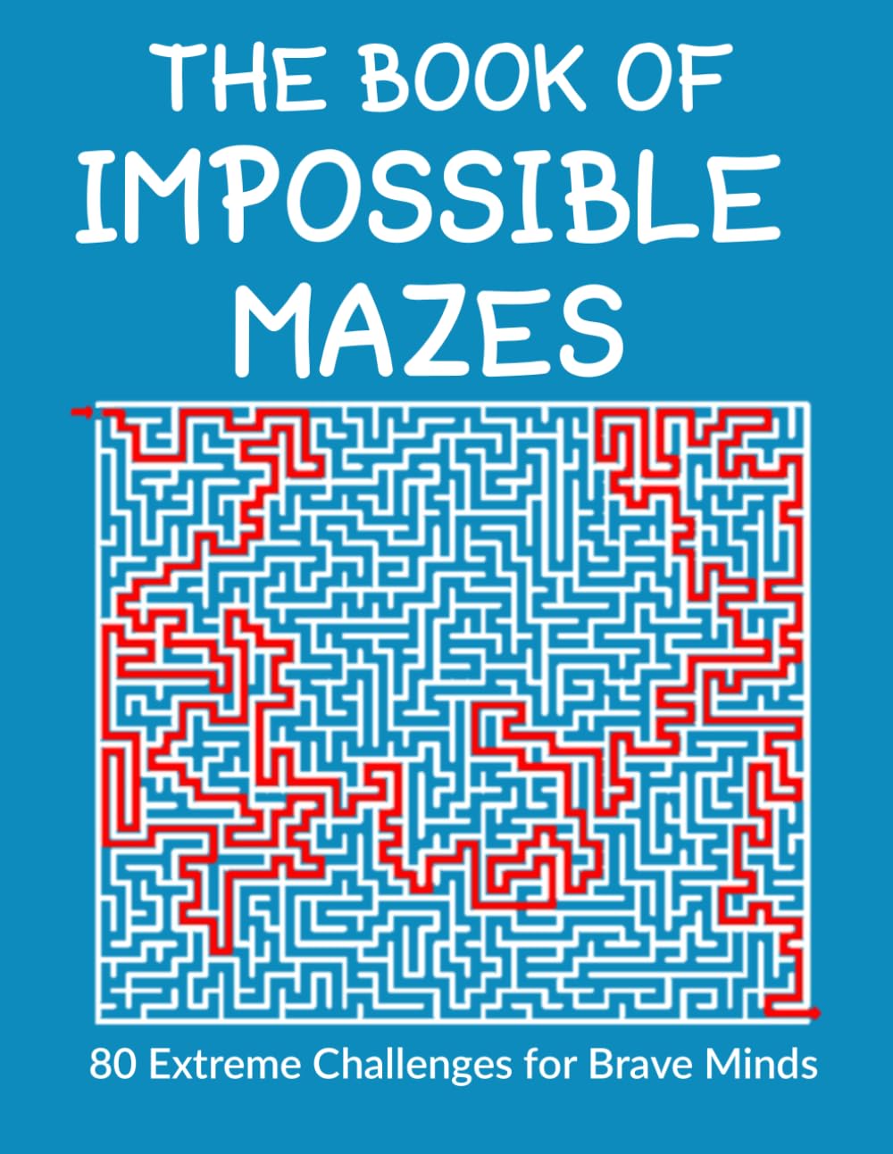 The Book of impossible Mazes: 80 extreme challenges for brave minds