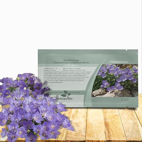 Outsidepride Carpatica - Semillas de campanilla azul para plantar, 10000 piezas de semillas de flores perennes que forman esteras con flores en