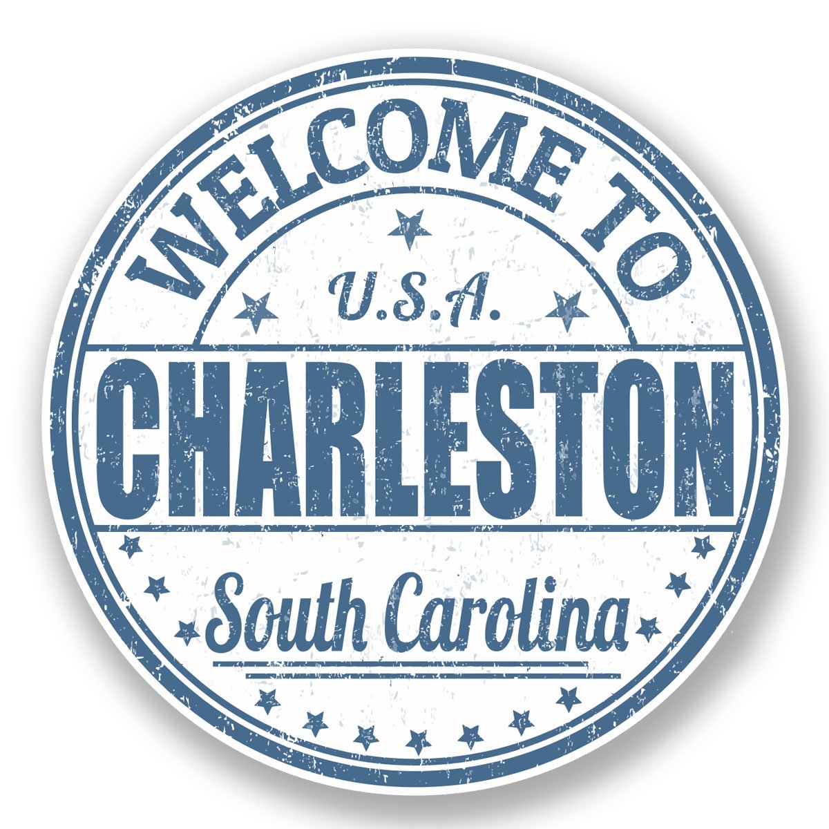 Destinationvinyl Multi 2 X 10Cm Charleston South Carolina Vinyl Decal Sticker Travel Luggage Tag #5901 (10Cm X 10Cm)