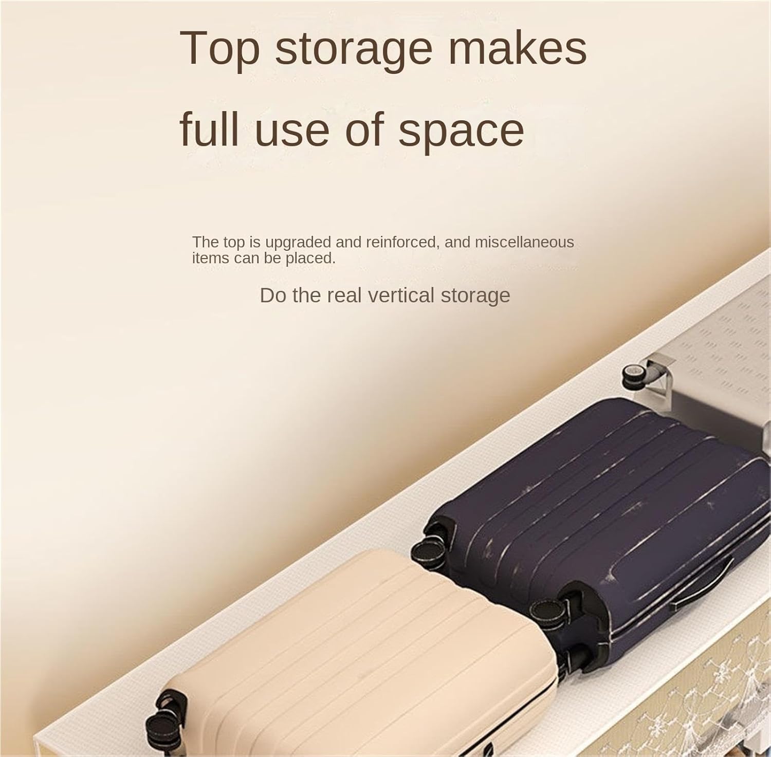 DVD ファーブル昆虫記5 カマキリとミノムシ DVD ファーブル昆虫記 5