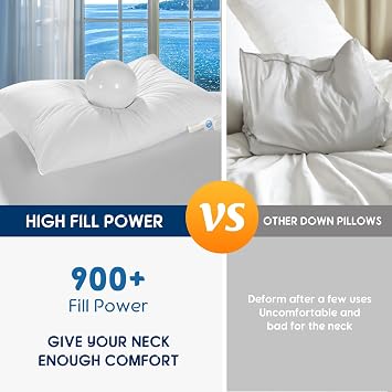 Luxury Goose Feather Down Pillow, 3-Chamber 5 Star Hotel Pillow for Deep Sleep, Soft Bed Pillows for Neck Pain Relief, Perfect for Side, Back Sleepers, 100% Cotton Shell (2 Pack,Queen(20x30))