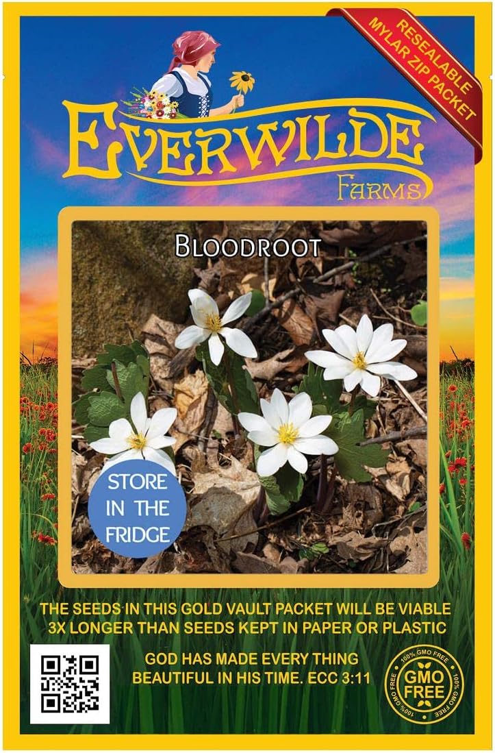 Everwilde Farms - 1/4 Lb Bloodroot Native Wildflower Seeds - Gold Vault