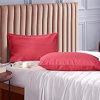 Vista 22 de Evolive Juego de 2 fundas de almohada de microfibra cepillada ultrasuave de tamaño estándar de 20 x 30 pulgadas con cierre de sobre