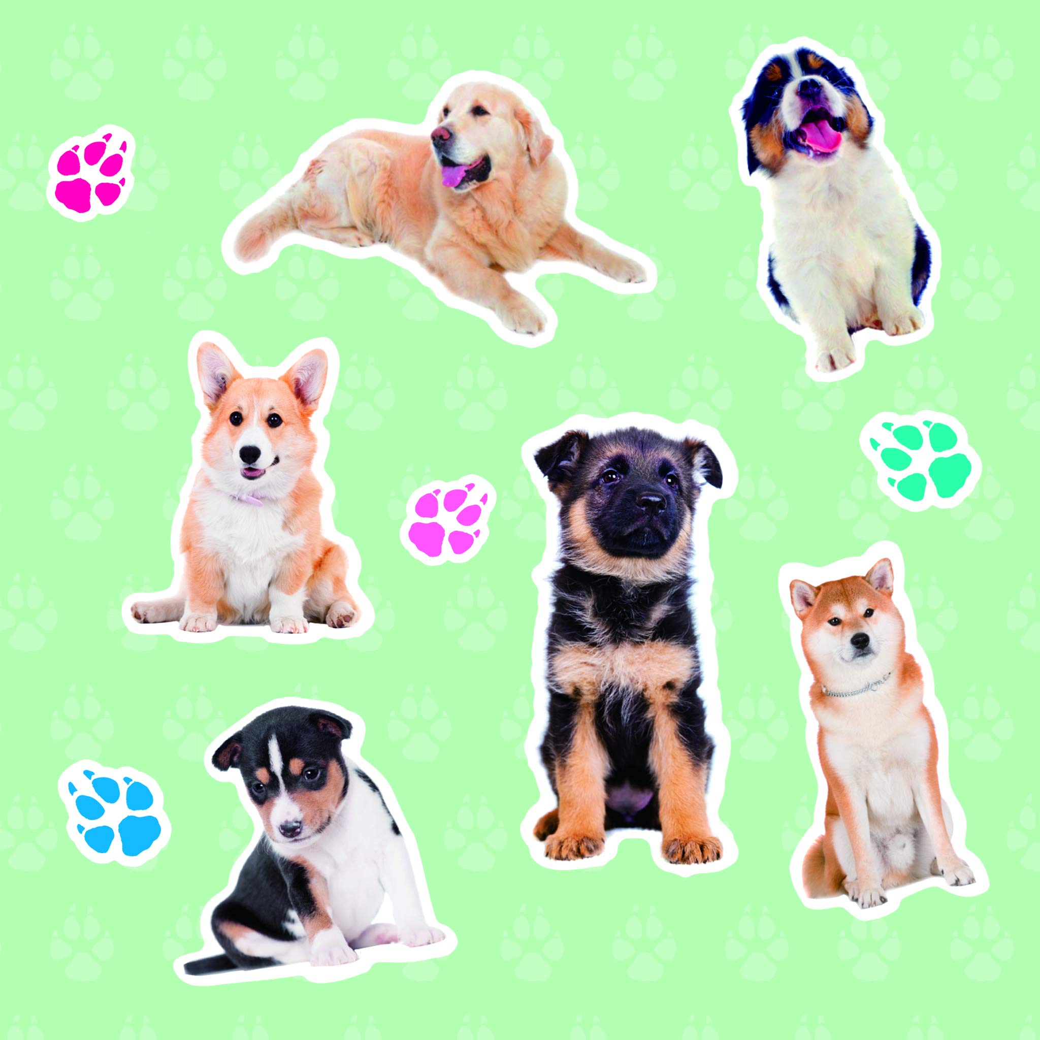 APLI Kids 19318 - Autocollants Chien WOOF! - Pochette de 35 autocollants à adhésifs permanents - Stickers pour loisirs créatifs, scrapbooking et APLI Kids 19318 - Autocollants Chien WOOF! - Pochette de 35 autocollants à adhésifs permanents - Stickers pour loisirs créatifs, scrapbooking et