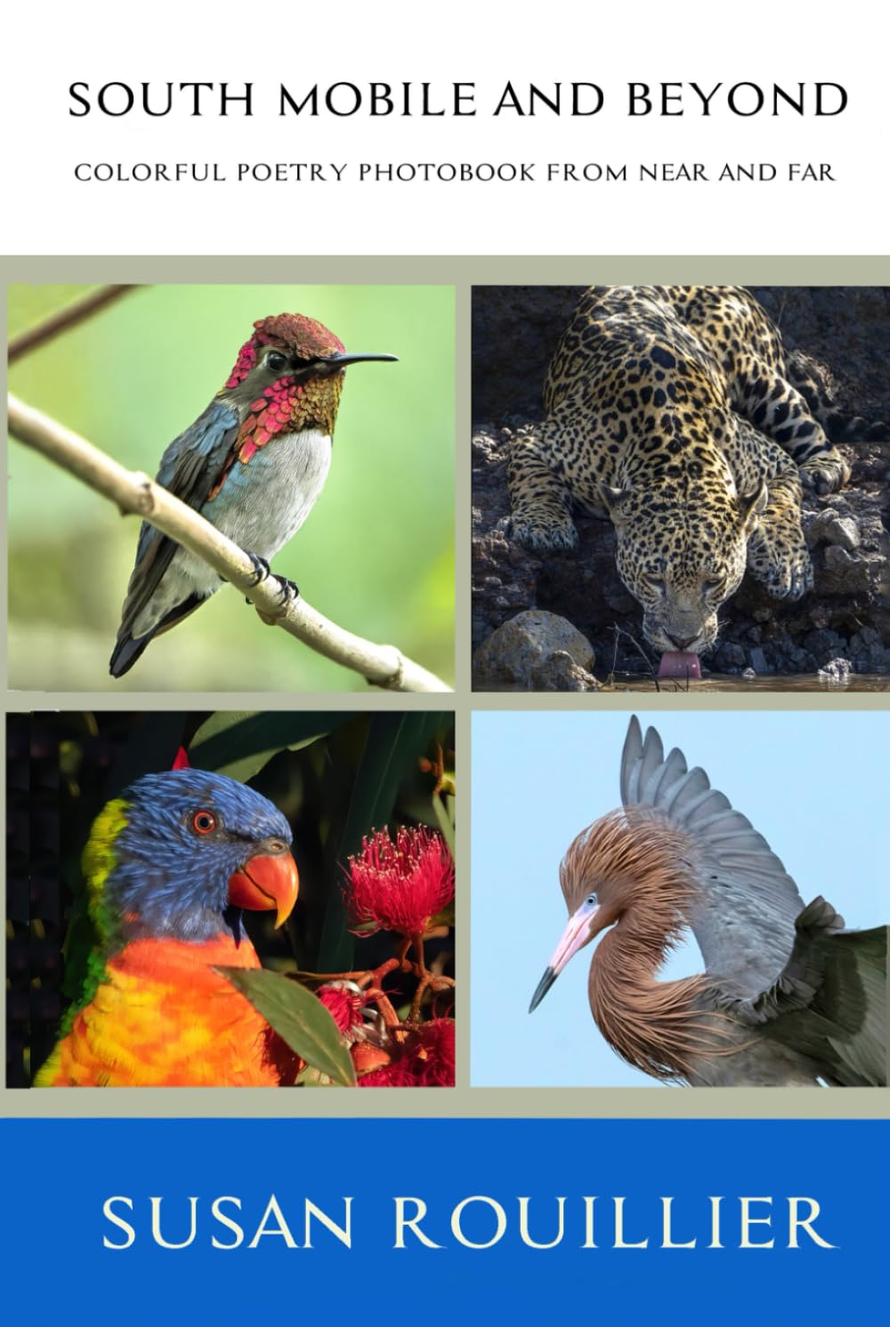 SOUTH MOBILE AND BEYOND: COLORFUL POETRY PHOTOBOOK FROM NEAR AND FAR      Hardcover – November 6, 2023