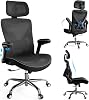 Ergalithic Office Chair, Ergonomic Chair Mesh PU Leather with Adjustable Lumbar Support-Executive Computer Desk Chair (Light Black)