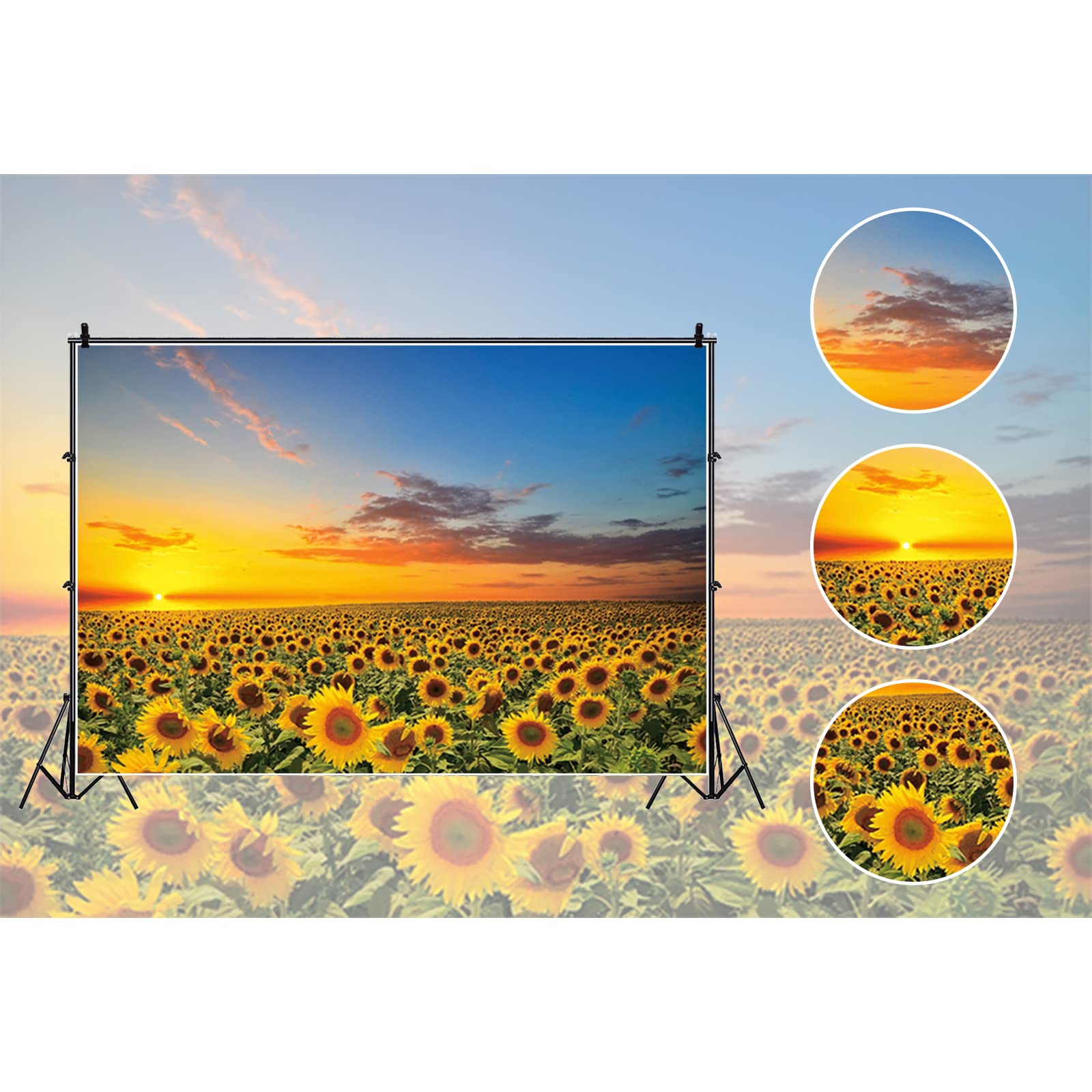 Amazon | ひまわり畑の背景幕 写真撮影用 美しい素朴な夕焼けの黄色い