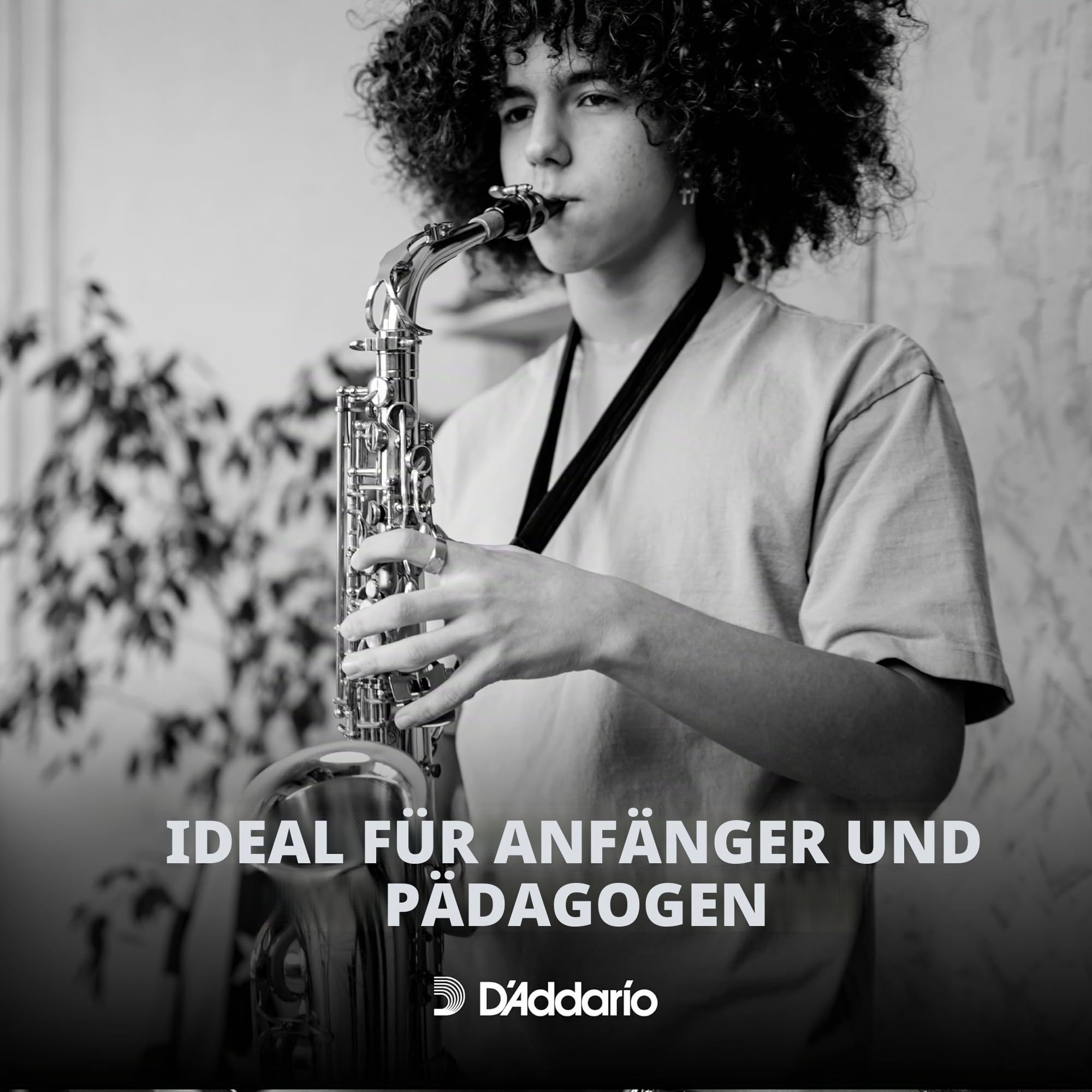 Rico by D'Addario Saxophon Blätter | Hochpräzise gefertigt | Alt Saxophon Blätter 2 Stärke | 10er-Packung | Warmer voller Ton | Angenehmes Spielgefühl